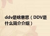 ddv是啥意思（DDV是什么简介介绍）