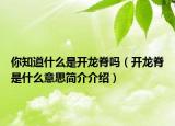 你知道什么是开龙脊吗（开龙脊是什么意思简介介绍）