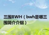 三围BWH（bwh是哪三围简介介绍）