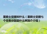 圣骑士觉醒叫什么（圣骑士觉醒七个任务分别是什么啊简介介绍）