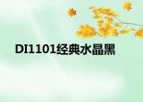 DI1101经典水晶黑