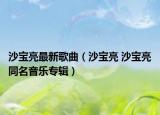 沙宝亮最新歌曲（沙宝亮 沙宝亮同名音乐专辑）