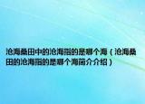 沧海桑田中的沧海指的是哪个海（沧海桑田的沧海指的是哪个海简介介绍）