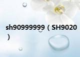 sh90999999（SH9020）