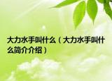 大力水手叫什么（大力水手叫什么简介介绍）