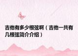 吉他有多少根弦啊（吉他一共有几根弦简介介绍）