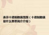 表示十进制数值范围（十进制数值是什么意思简介介绍）