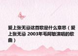 爱上张无忌这首歌是什么意思（爱上张无忌 2003年毛阿敏演唱的歌曲）