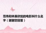 范伟和林嘉欣拍的电影叫什么名字（谢谢您回答）