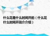 什么花是什么时间开的（什么花什么时间开简介介绍）