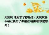 天灰灰 让我忘了你是谁（天灰灰会不会让我忘了你是谁?是那首歌的歌词）