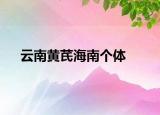 云南黄芪海南个体