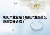 朝阳产业包括（朝阳产业是什么意思简介介绍）