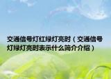 交通信号灯红绿灯亮时（交通信号灯绿灯亮时表示什么简介介绍）