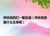 焚林而田打一歇后语（焚林而田是什么生肖呢）