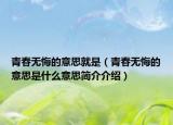 青春无悔的意思就是（青春无悔的意思是什么意思简介介绍）
