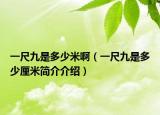 一尺九是多少米啊（一尺九是多少厘米简介介绍）