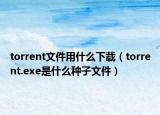 torrent文件用什么下载（torrent.exe是什么种子文件）