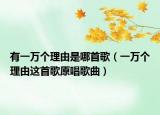 有一万个理由是哪首歌（一万个理由这首歌原唱歌曲）