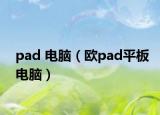 pad 电脑（欧pad平板电脑）