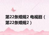第22条婚规2 电视剧（第22条婚规2）
