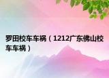 罗田校车车祸（1212广东佛山校车车祸）