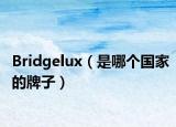 Bridgelux（是哪个国家的牌子）