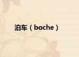 泊车（boche）