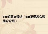 ear的英文读法（ear英语怎么读简介介绍）