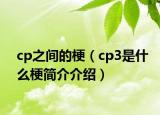 cp之间的梗（cp3是什么梗简介介绍）