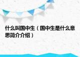 什么叫国中生（国中生是什么意思简介介绍）