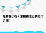 豪猪的长相（豪猪和谁近亲简介介绍）