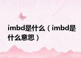 imbd是什么（imbd是什么意思）