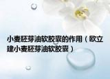 小麦胚芽油软胶囊的作用（欧立建小麦胚芽油软胶囊）