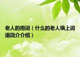老人的用词（什么的老人填上词语简介介绍）