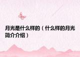 月光是什么样的（什么样的月光简介介绍）
