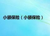 小额保险（小额保险）