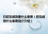 已初见成效是什么意思（初见成效什么意思简介介绍）