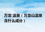 万龙 温泉（万龙山温泉含什么成分）