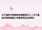 辽宁省电子税务局为啥登录不上（辽宁省地方税务局网上申报系统无法申报）