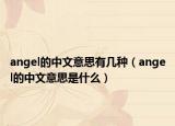 angel的中文意思有几种（angel的中文意思是什么）