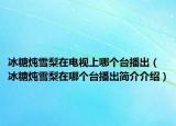 冰糖炖雪梨在电视上哪个台播出（冰糖炖雪梨在哪个台播出简介介绍）