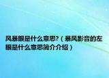 风暴眼是什么意思?（暴风影音的左眼是什么意思简介介绍）