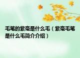 毛笔的紫毫是什么毛（紫毫毛笔是什么毛简介介绍）