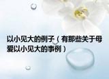 以小见大的例子（有那些关于母爱以小见大的事例）