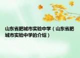 山东省肥城市实验中学（山东省肥城市实验中学的介绍）