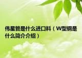 伟星管是什么进口料（W型钢是什么简介介绍）