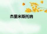 杰里米斯托纳