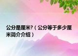 公分是厘米?（公分等于多少厘米简介介绍）