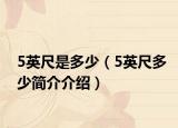 5英尺是多少（5英尺多少简介介绍）